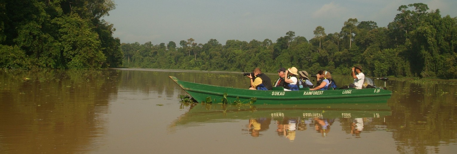 SukauRainforestLodge25(13)