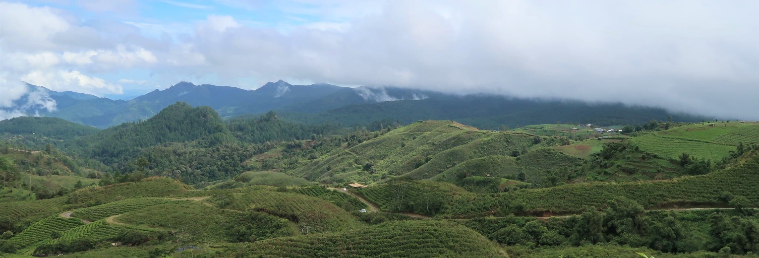 Sulawesi-Malino-Hooglanden-1