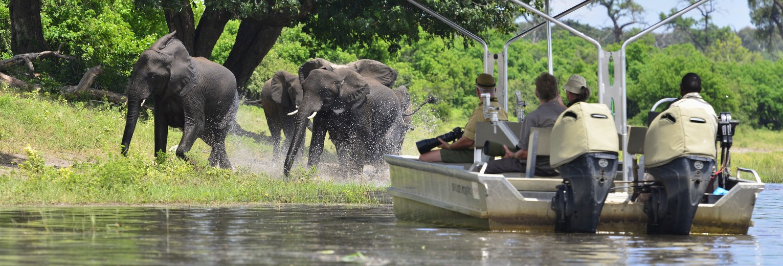 Chobe National Park bezoeken tijdens een rondreis Botswana