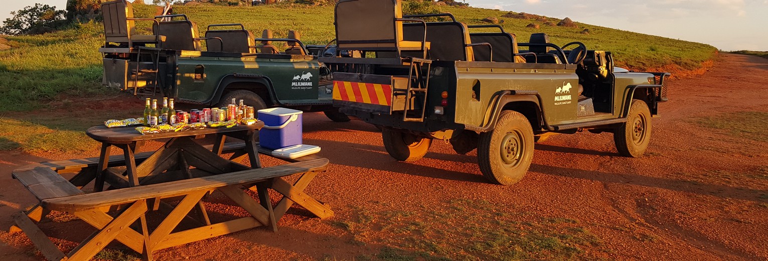 Een echte aanrader: op jeesafari met pichnick in Mlilwane Wildlife Sanctuary, Swaziland