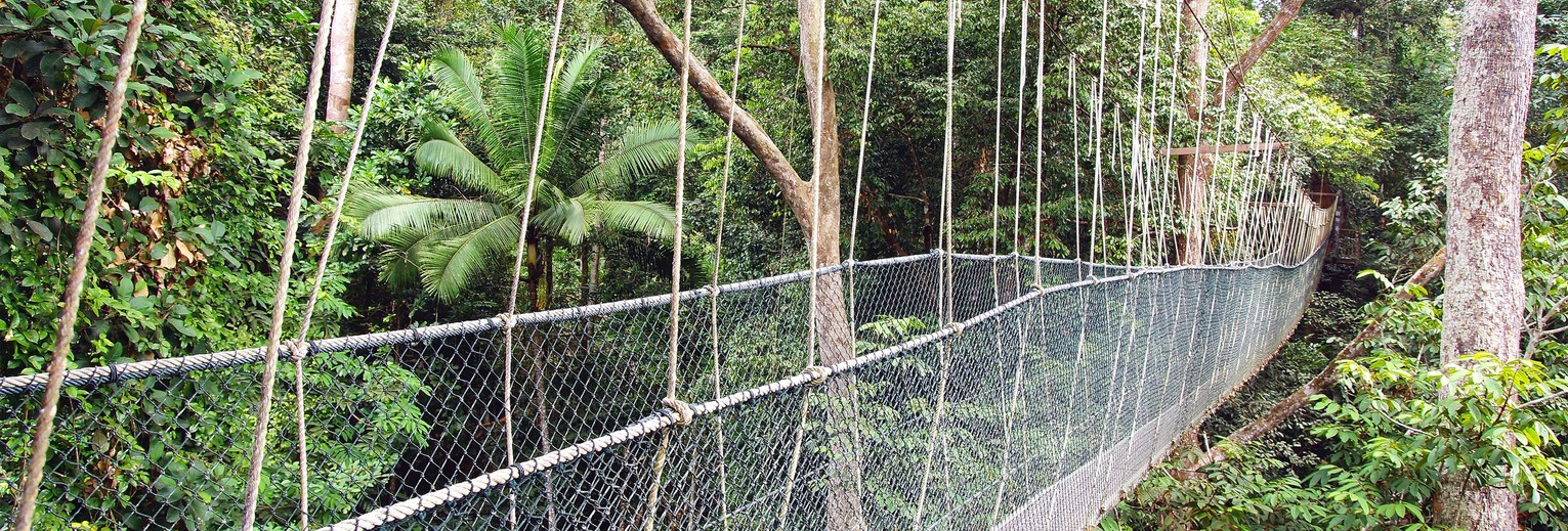 Tamannegara-maleisie10(13)