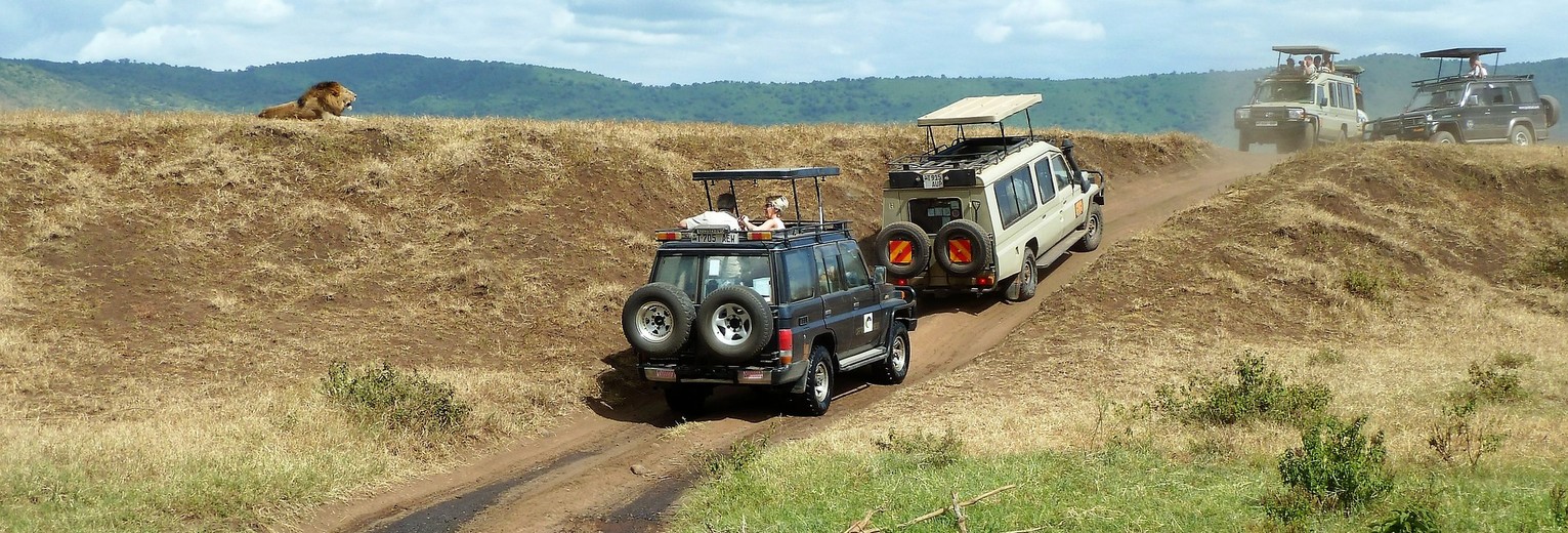 Tanzania-Ngorongoro-Krater-Jeeps Tanzania-Ngorongoro-Krater-Jeeps