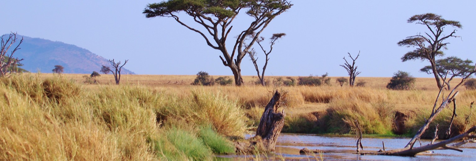 Tanzania-Serengeti-Ruime-vlakte