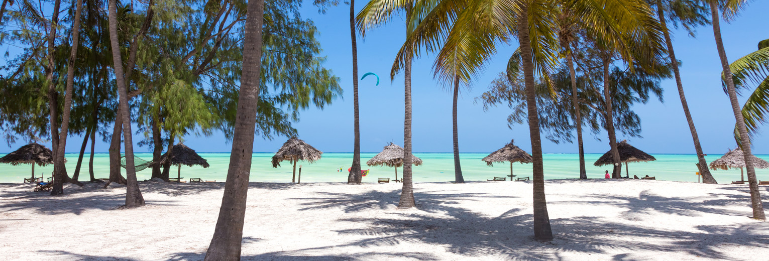 Strandvakantie Zanzibar combineren met een safari Tanzania