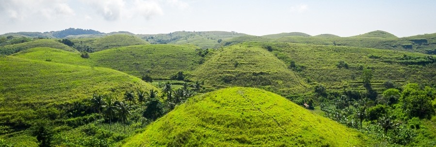 Teletubbie Hills Nusa Penida Teletubbie Hills Nusa Penida