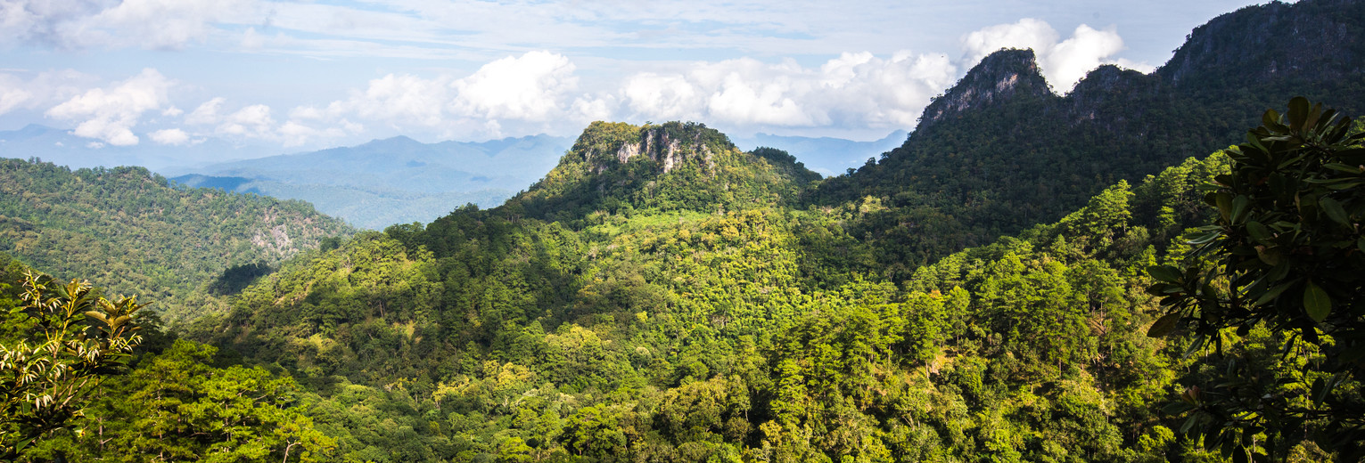 Thailand-noorden-dichtebossen shutterstock_353934179
