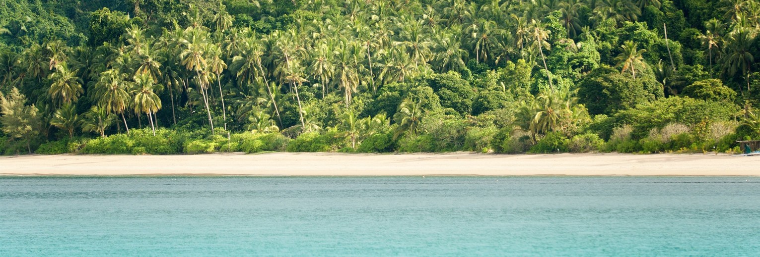 Tioman-palmbeachcoastline(13)