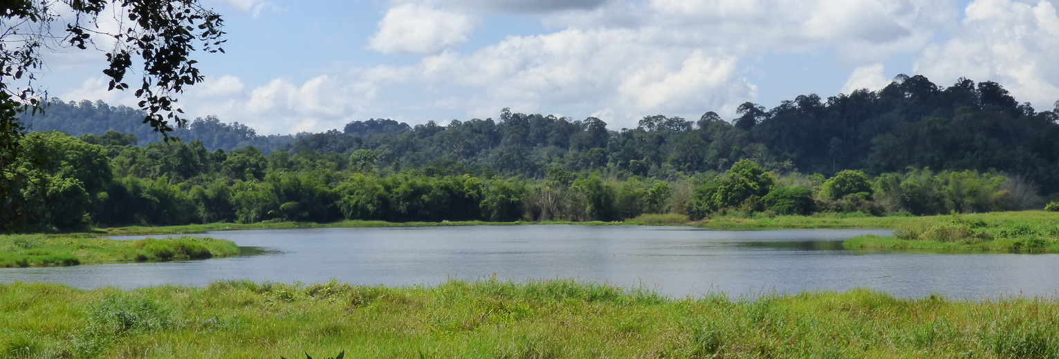 Vaar nog voor het ontbijt naar een eiland waar gibbons leven in het Cat Tien NP, Vietnam