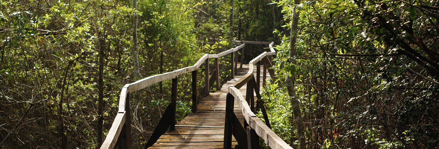 Het Cat Tien National Park, beleef dé echte jungle in het zuiden van Vietnam