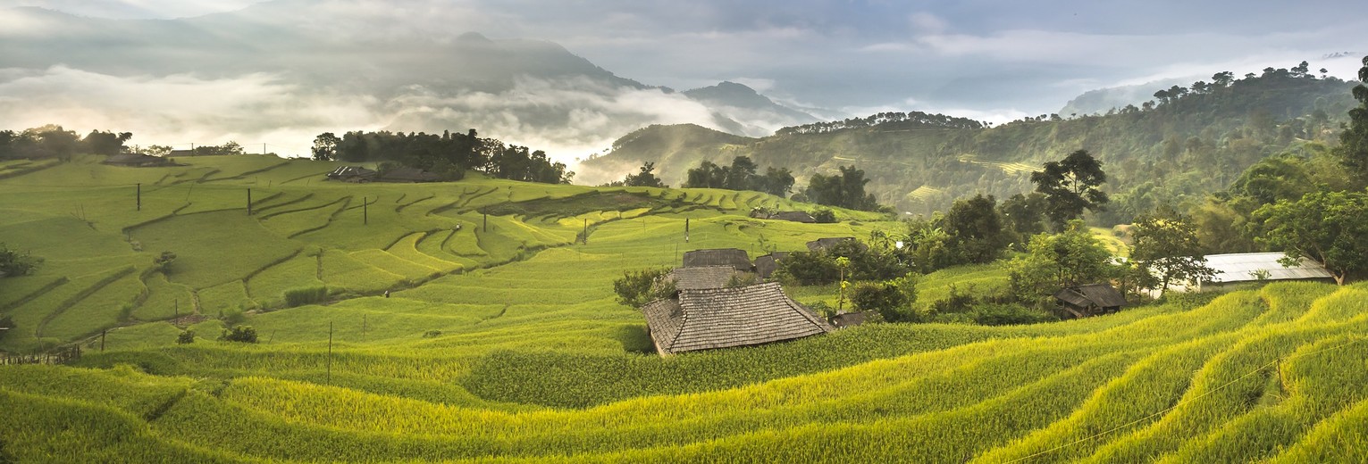 De groene rijstvelden in de hoge bergen van Ha Giang