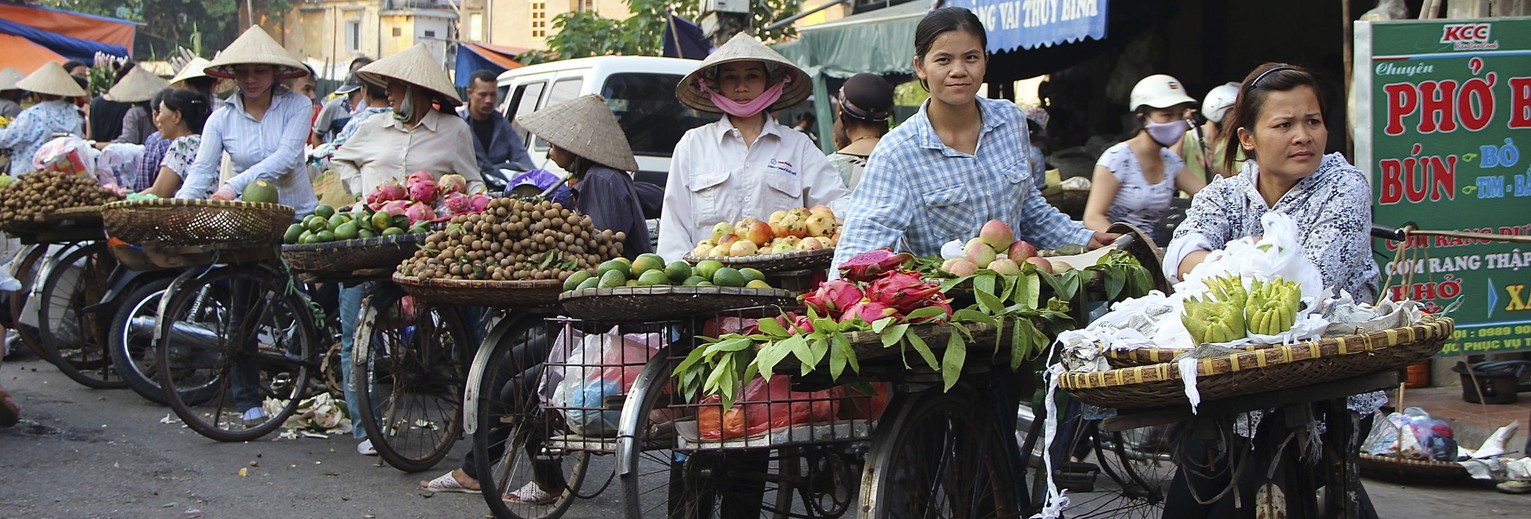 Vietnam-Hanoi-locals-fiets-fruit
