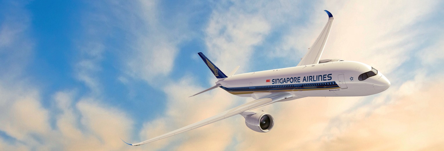 Vliegtuig van Singapore Airlines Vliegtuig van Singapore Airlines