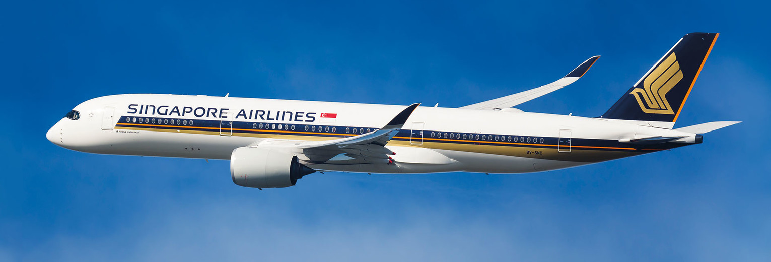 Vliegtuig van Singapore Airlines Vliegtuig van Singapore Airlines