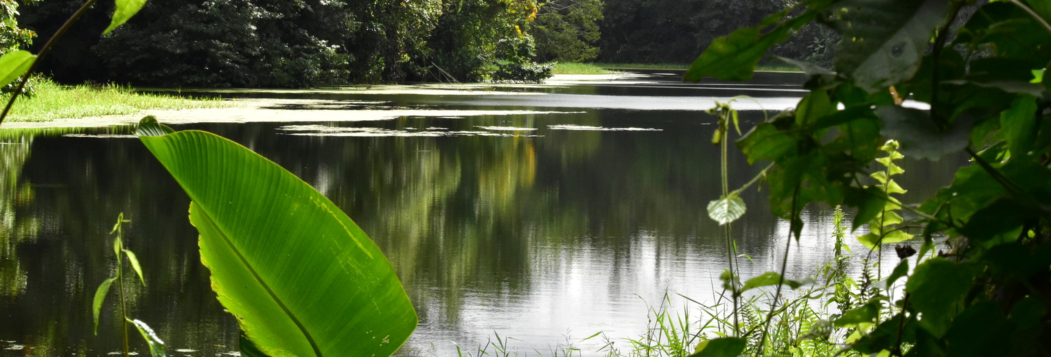 Vulkaan-Arenal-National-Park-6(17)