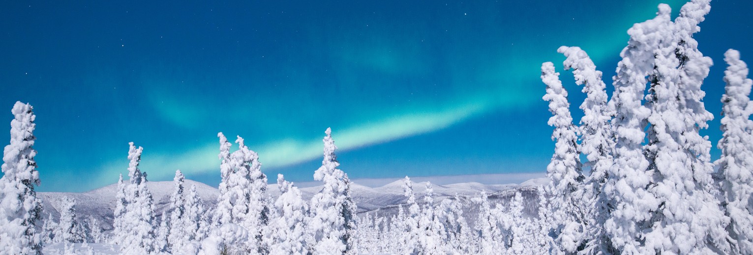 Winterlandschap nabij Fairbanks, Alaska, Amerika