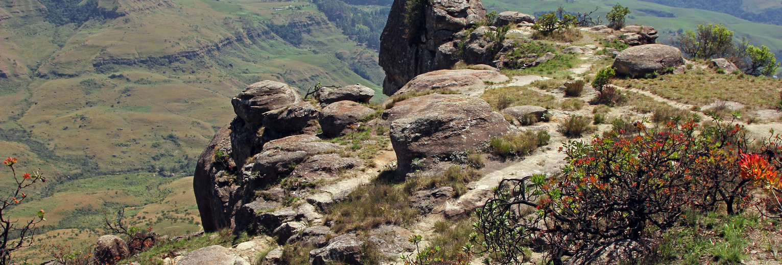 3d629ea4-39f7-470d-b1bb-9d5d98e5c823