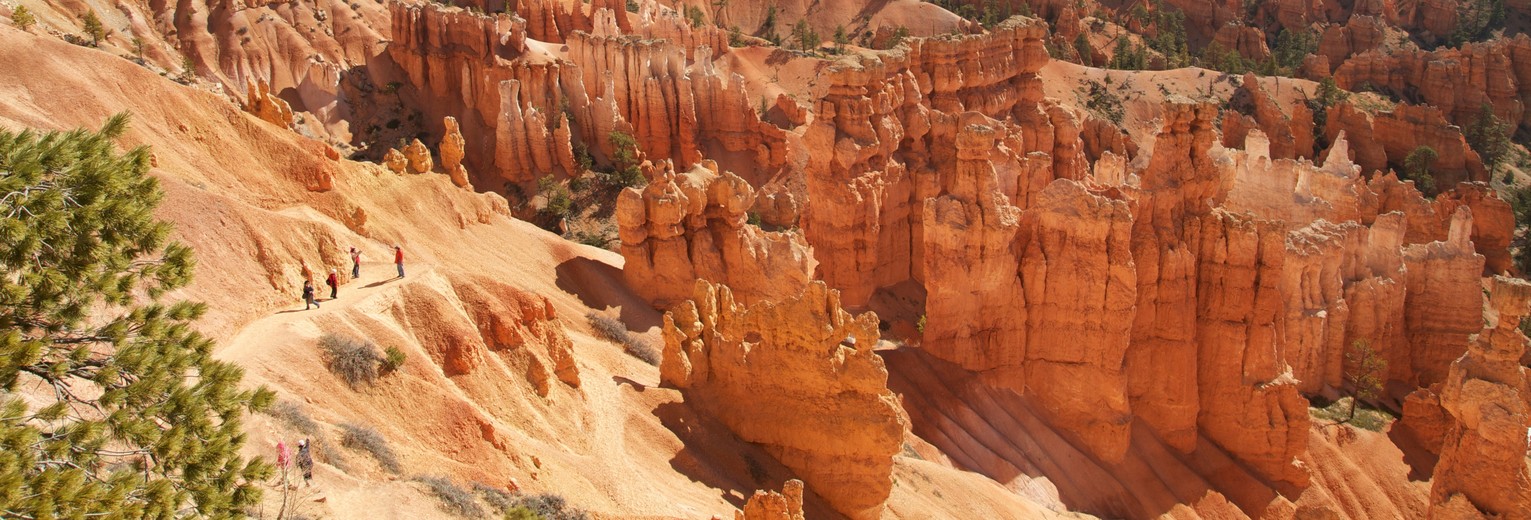 De rode rotsen van Bryce Canyon De rode rotsen van Bryce Canyon