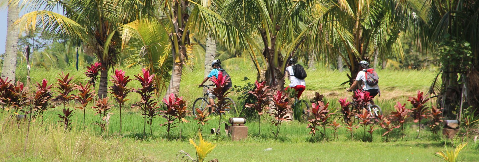Fietsen door Blayu, Bali