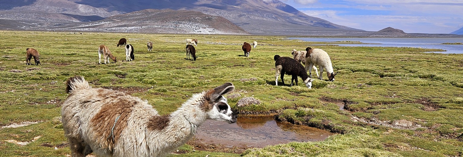 Hoogvlaktes in Arequipa, Peru