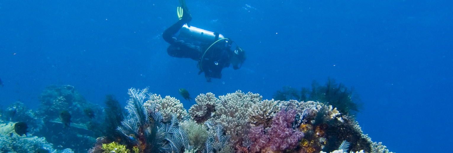De onderwaterwereld van Nusa Lembongan