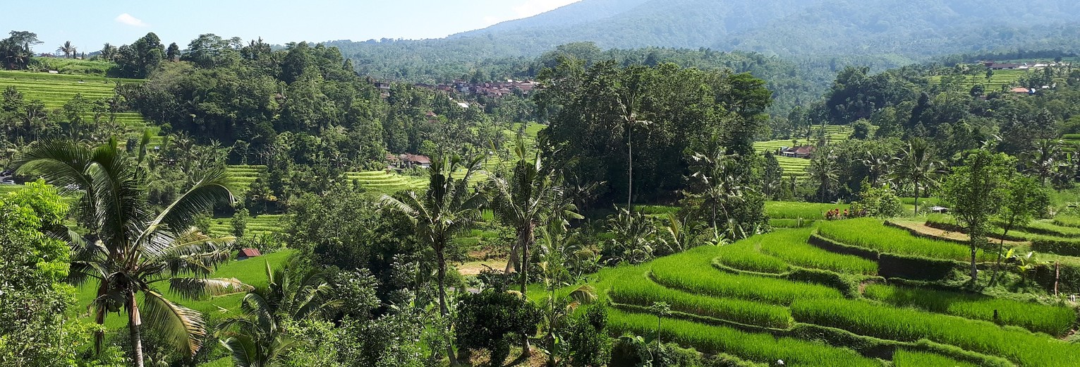 indonesie-java-nagrak-rijstvelden_2_452428