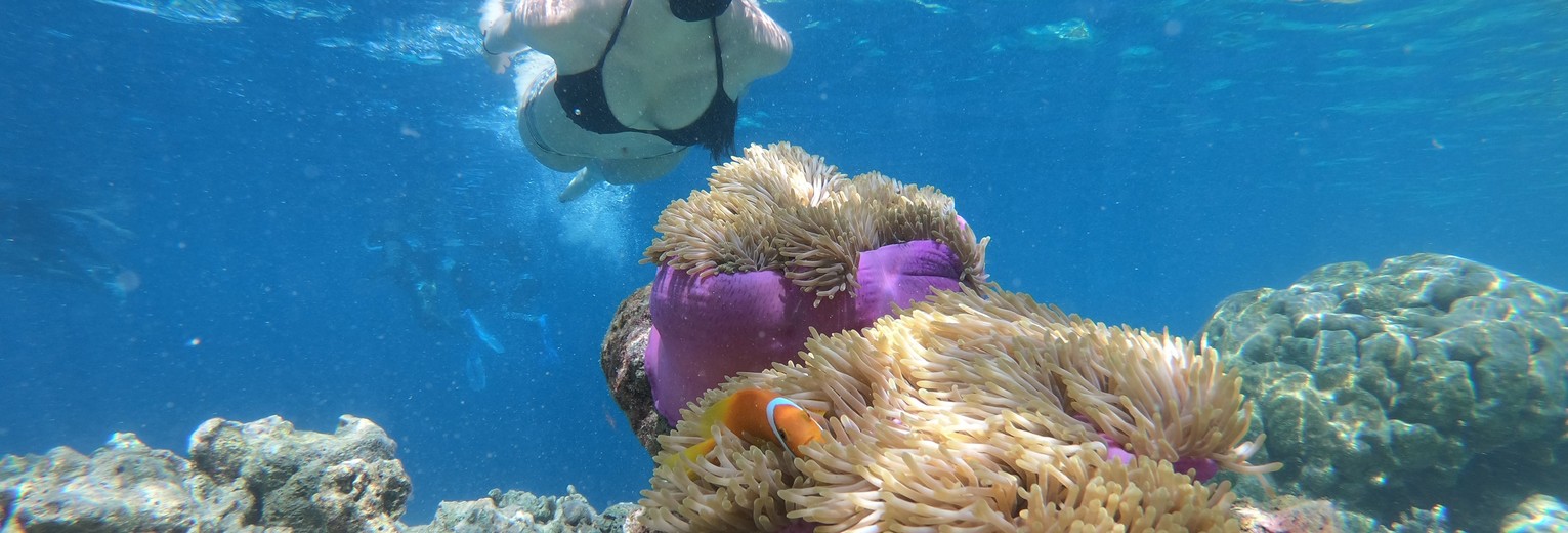 indonesie-sulawesi-bira-onderwaterwereld