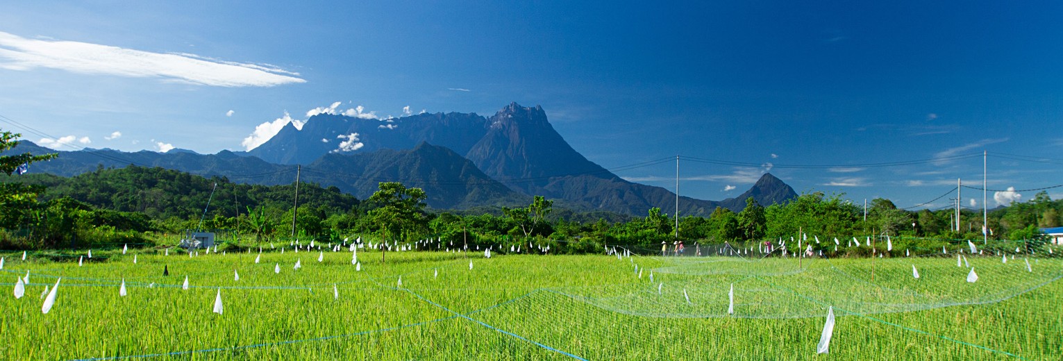 maleisie-sabah-mount-kinabalu45(13)