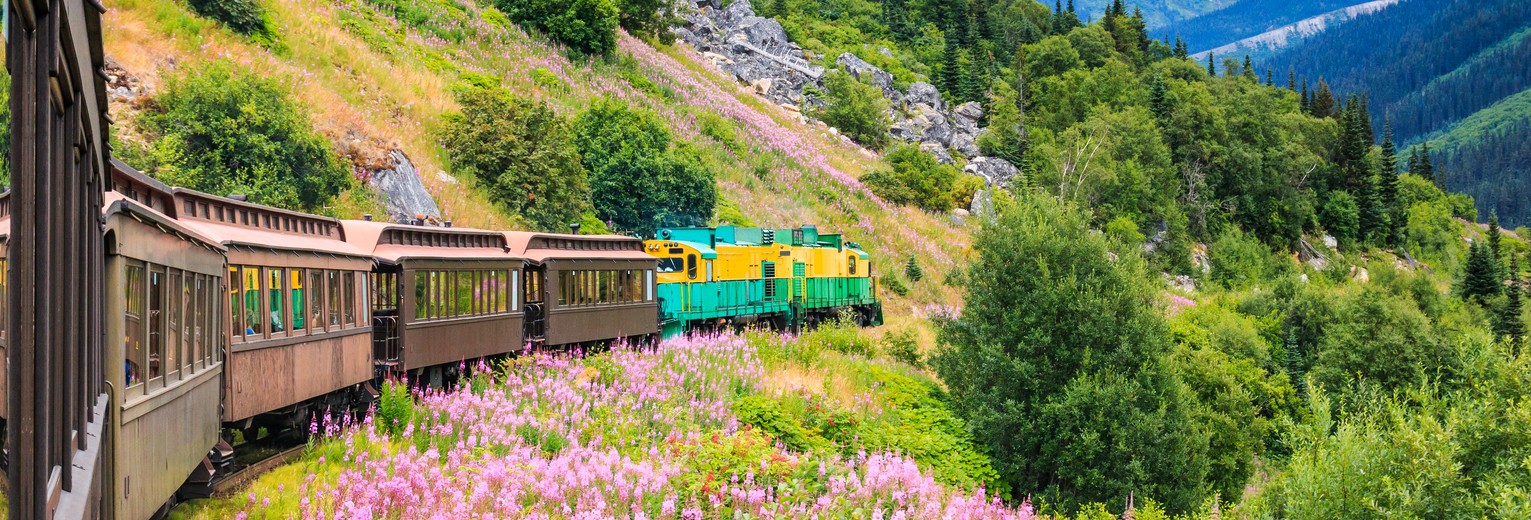 Treinreis bij Skagway, Alaska, Amerika
