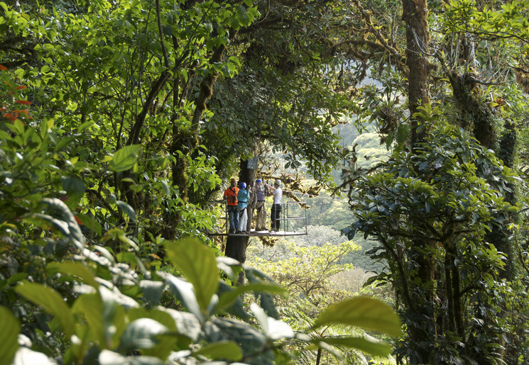 Canopy walk in Monteverde