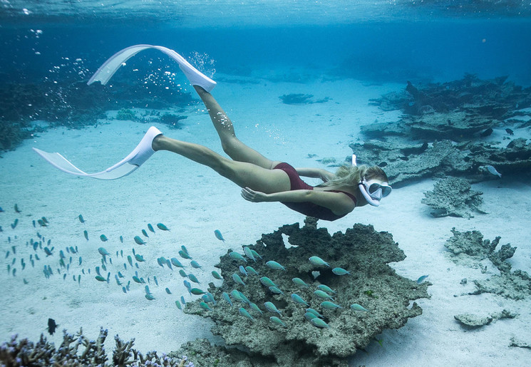Snorkelen op Mauritius Snorkelen op Mauritius
