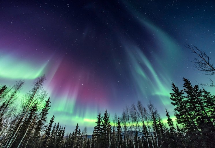 Zie het Noorderlicht in Alaska Zie het Noorderlicht in Alaska