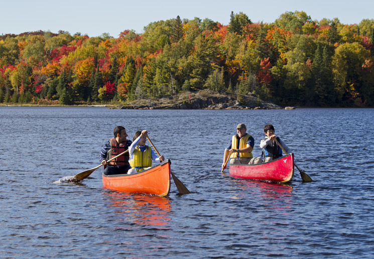 Algonquin Provincial Park een van de mooiste parken in Oost-Canada