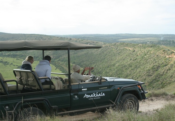 Op jeepsafari in het Amakhala Game Reserve, Zuid-Afrika