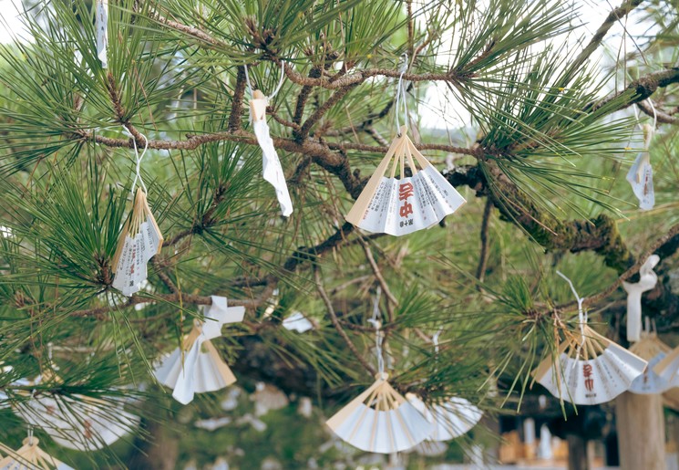 Waaiers in Amanohashidate, Japan