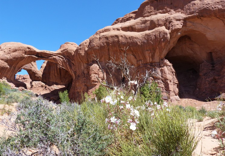 5091ac7d-9057-40d2-84f0-b0f655452cb0