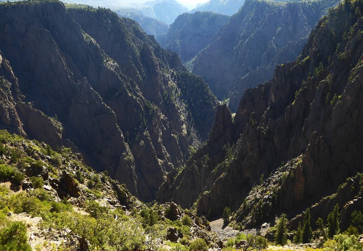 Amerika-Black-Canyon-Groen