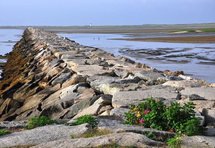 De kust tijdens eb in Cape Cod, Amerika