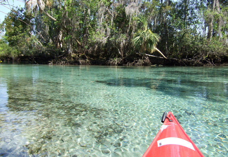 Amerika-Crystal-River-Kajakken
