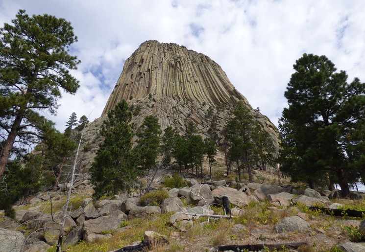 d83b2b0c-4434-42cd-aa79-bd951687a122