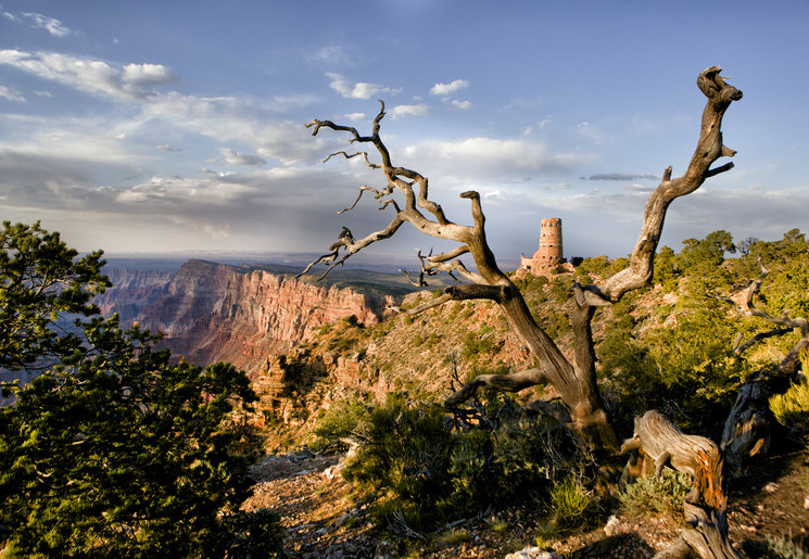 e971a65c-092f-4d62-bb81-63b7a6141c7d