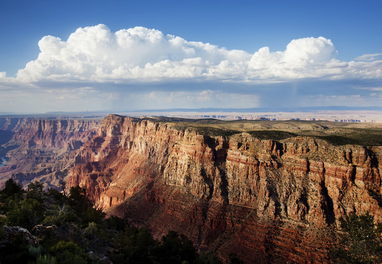 Amerika-Grand-Canyon-Papillon_1_509536