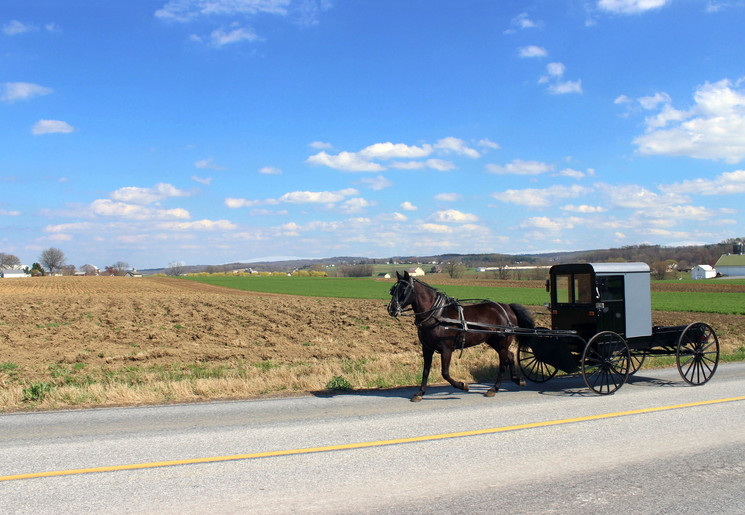 f62fa2cb-efef-4e62-bae3-6a8048879311