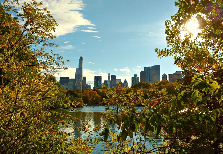 Amerika-New-York-Central-Park-1