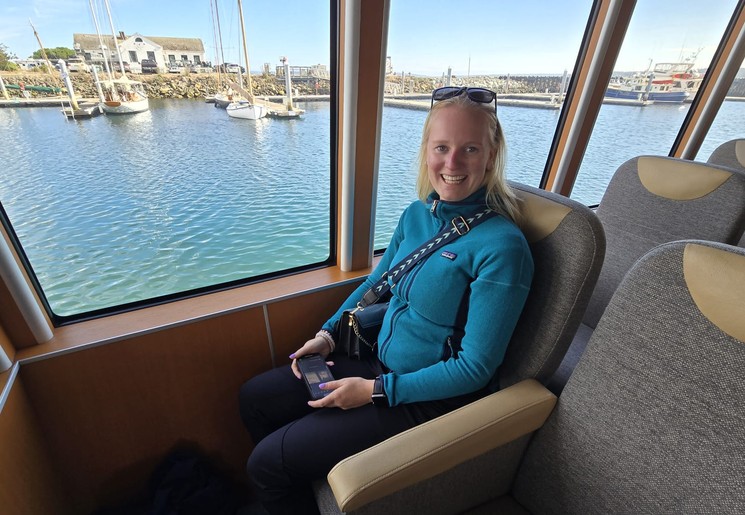 Walvistour in Puget Sound