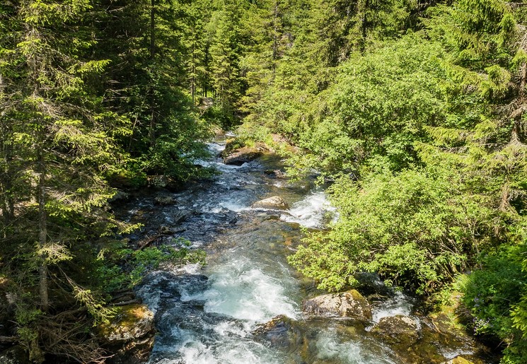 Amerika-White-Mountains-Waterval