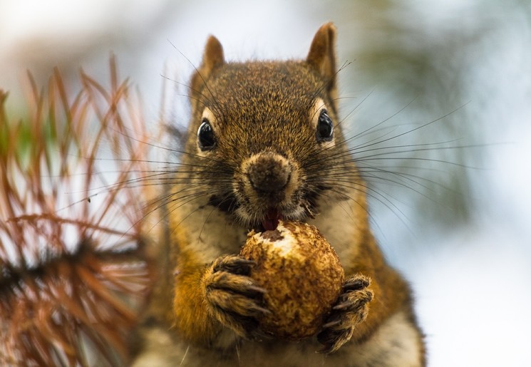 719b9c5c-7d38-421b-9954-30a2cc144d99