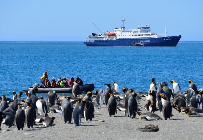Pinguïns-excursie-zodiac-Antarctisch-poolgebied