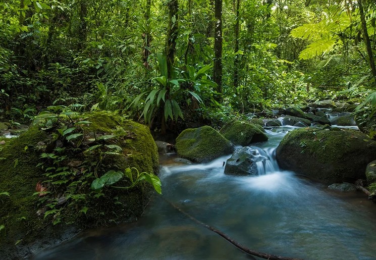 Een waterval die je kunt ontdekken nabij La Tigra Rainforest, Costa Rica
