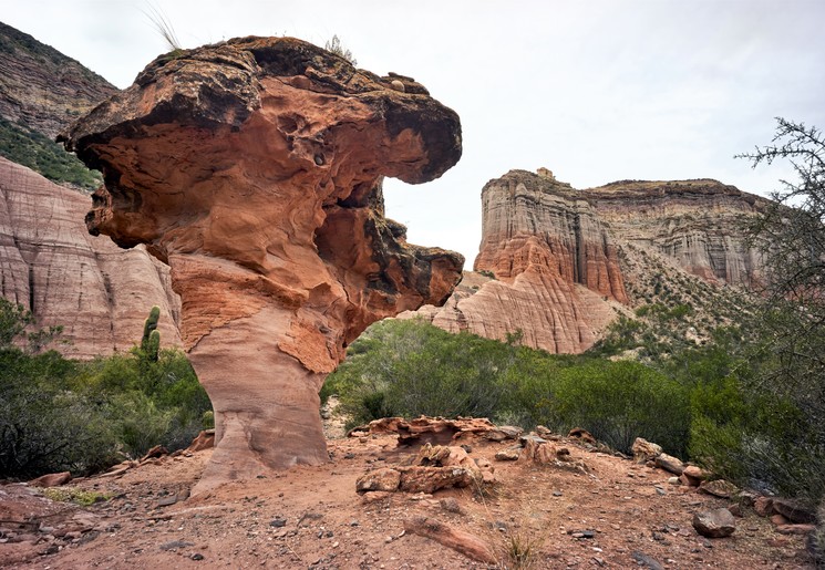 ee3e60d2-d3b2-4814-848c-beb9d600f768