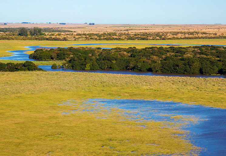 Wetlands Argentinië © Hostería Rincón del Ibera